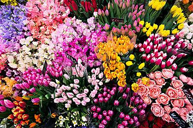 《F1 25》4K、8K和全景光追PC配置公开