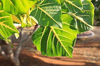 《GT赛车7》幕后视频 新作将拥有超过4百辆车